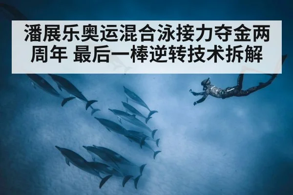 潘展乐奥运混合泳接力夺金两周年 最后一棒逆转技术拆解